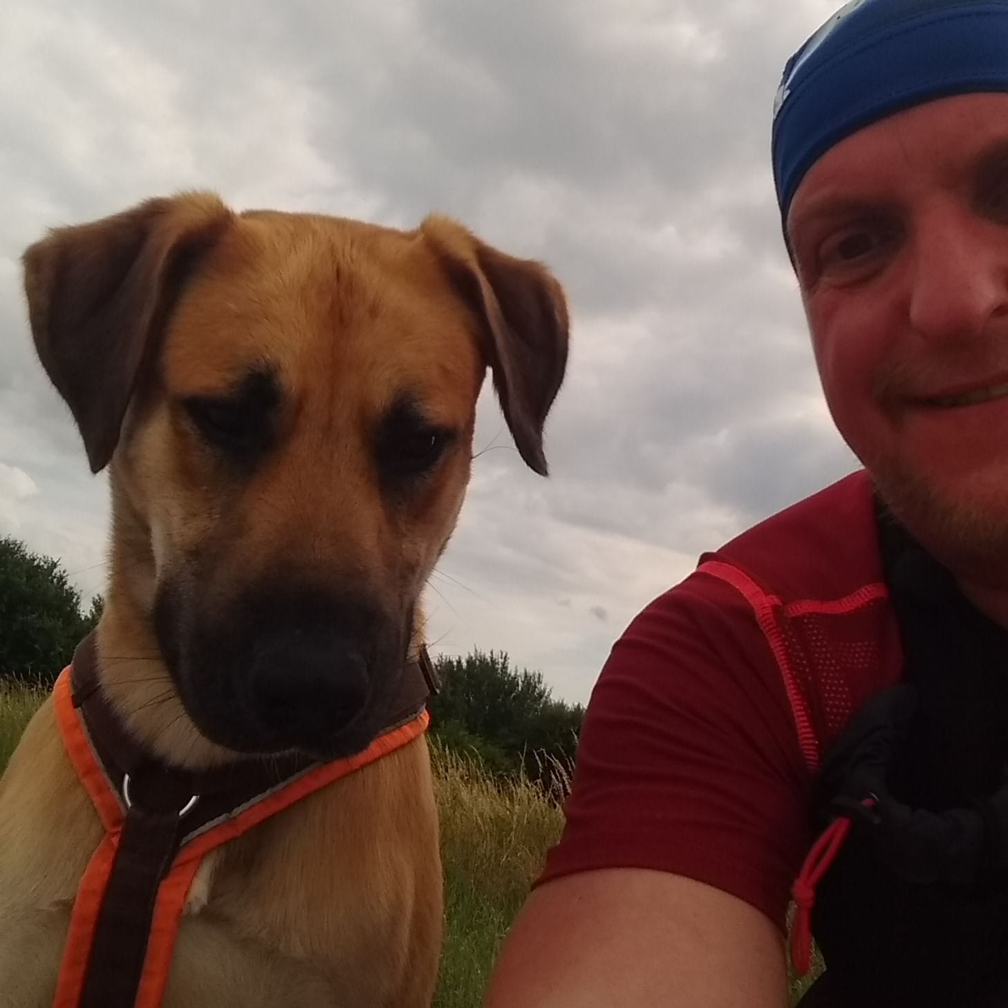 Links ein freundlich guckender, sandfarbener Hund; rechts angeschnitten ein lächelnder Mann in Sportklamotten